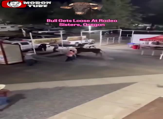 Video :At the rodeo, a bull escapes and injures two
